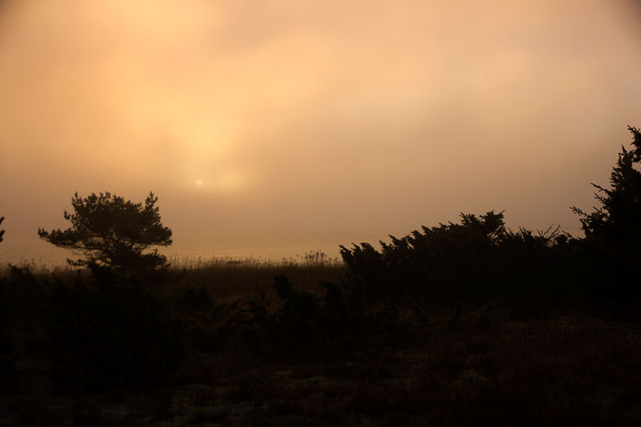 Sumu ja aurinko Sumu ja aurinko