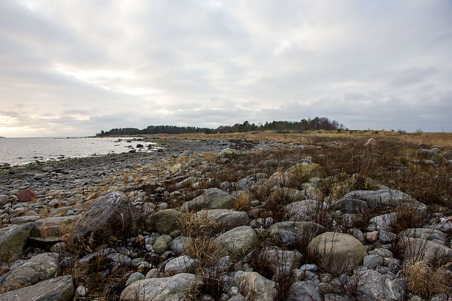 Pohjoiskärki Pohjoiskärki