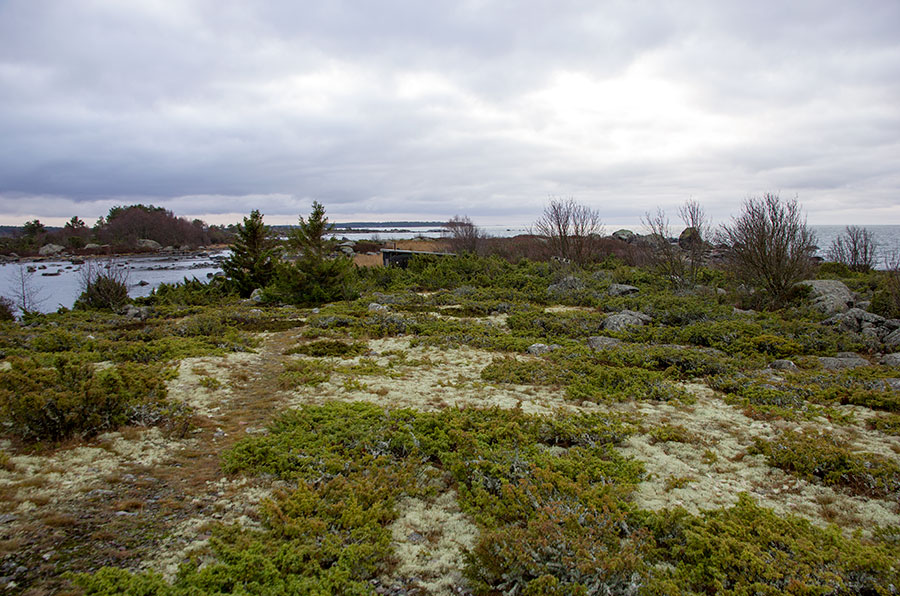 Steenkumppoosi Steenkumppoosi
