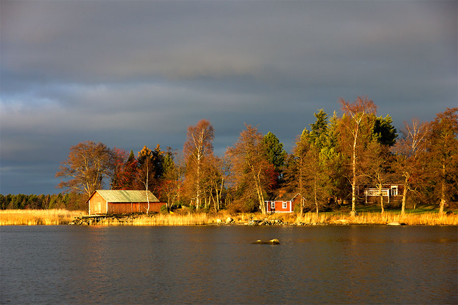 Alkutalven ruskaa Alkutalven ruskaa