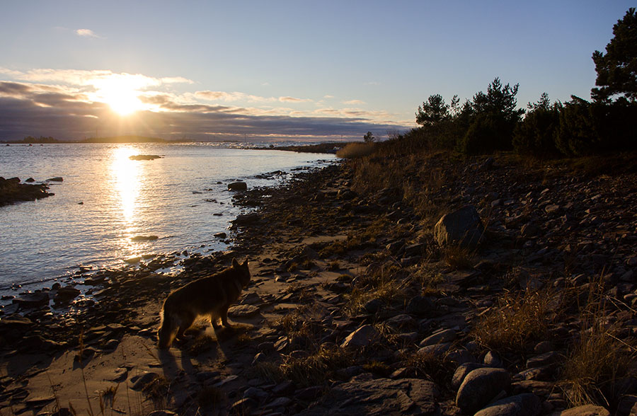 Lotte, aurinko ja itäranta Lotte, aurinko ja itäranta