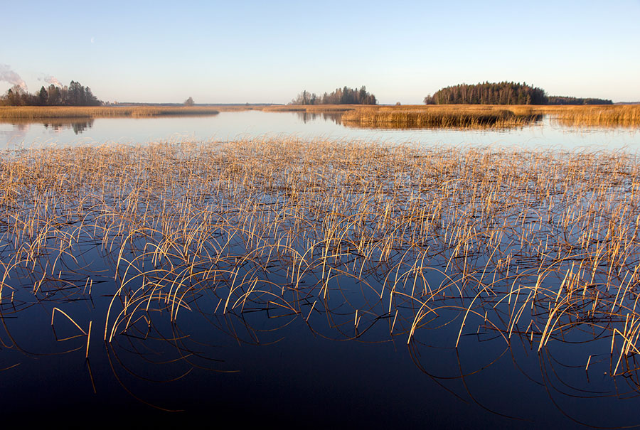 suistonkiertoa-ja-peilikuvia-kokem-enjoen-suisto-pori-14-12-2014