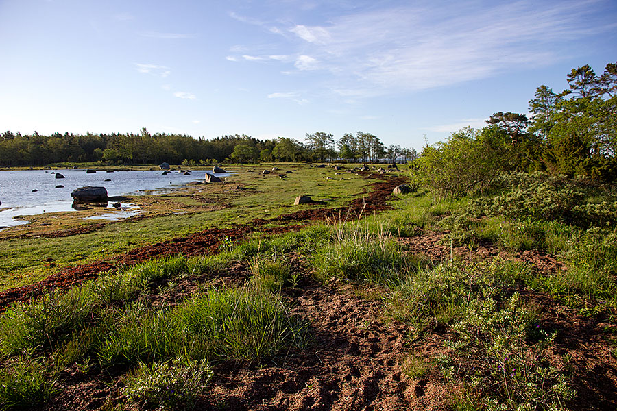 Kärkilaguuni Kärkilaguuni