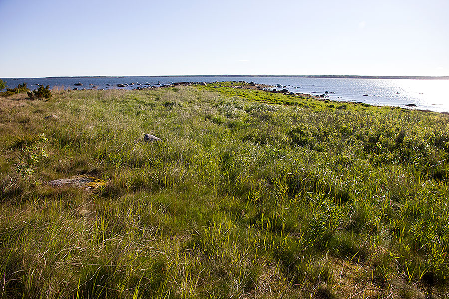 Domarkobban, pohjoisk�rki