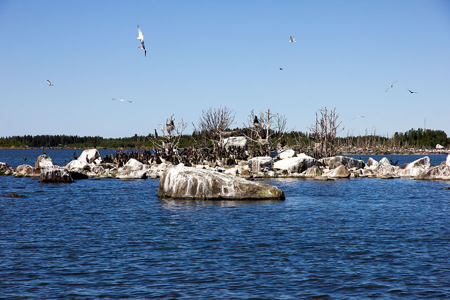 SW-saari