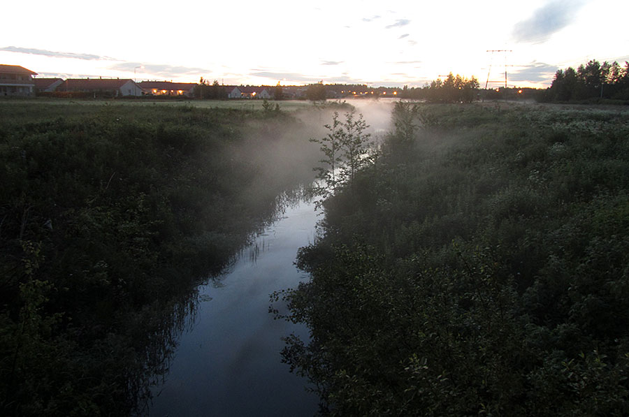 Suntinoja, Viikin�inen