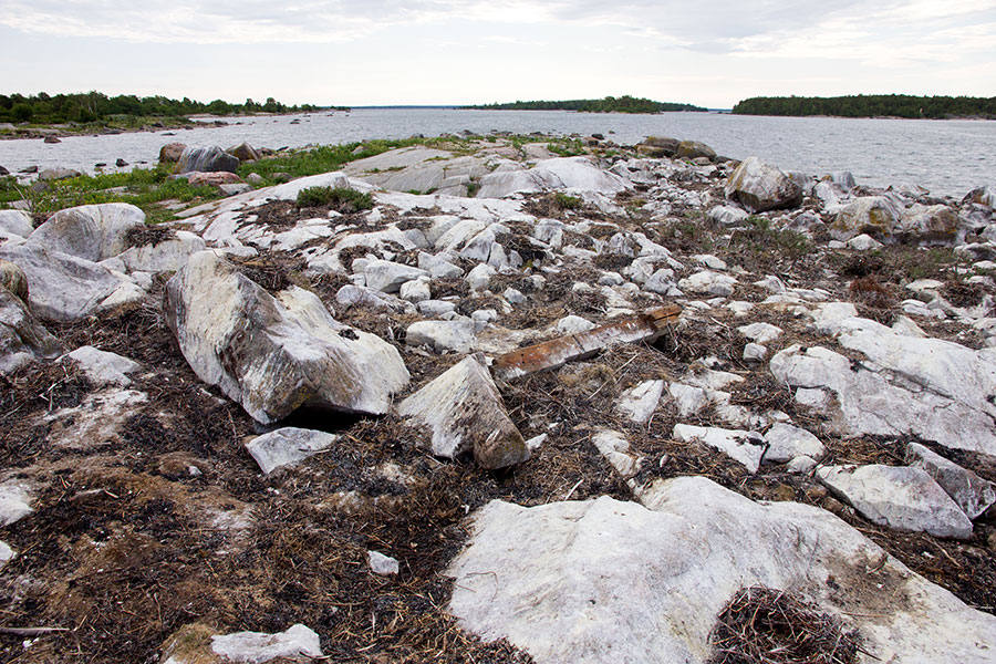 Tyhjät pesät Tyhjät pesät