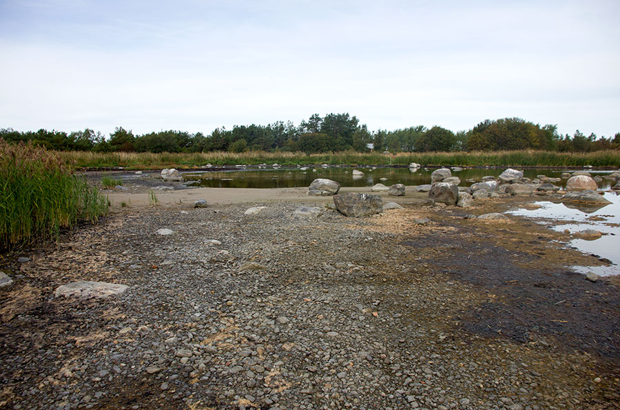 Domarkobban, flada