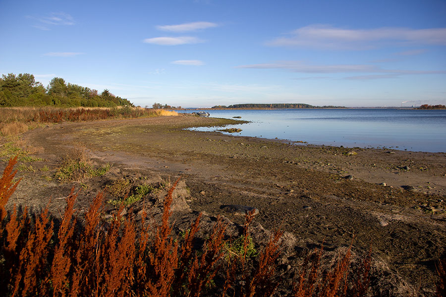 Svartgrund