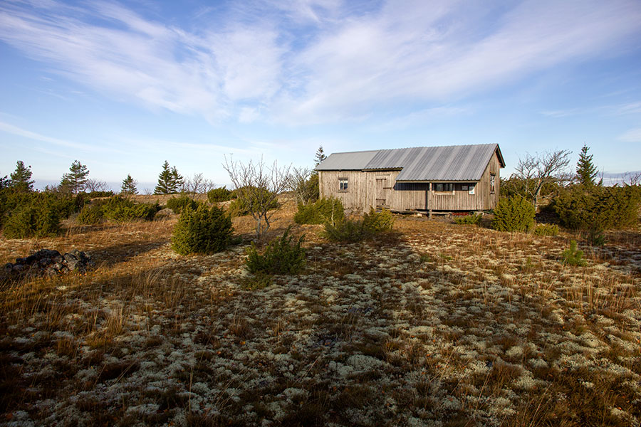 Saaren kalak�mpp�