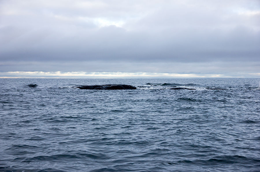 Ulkolasku