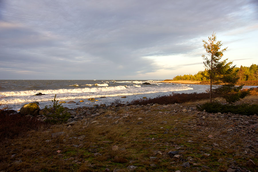 Aamun staijjipaikka