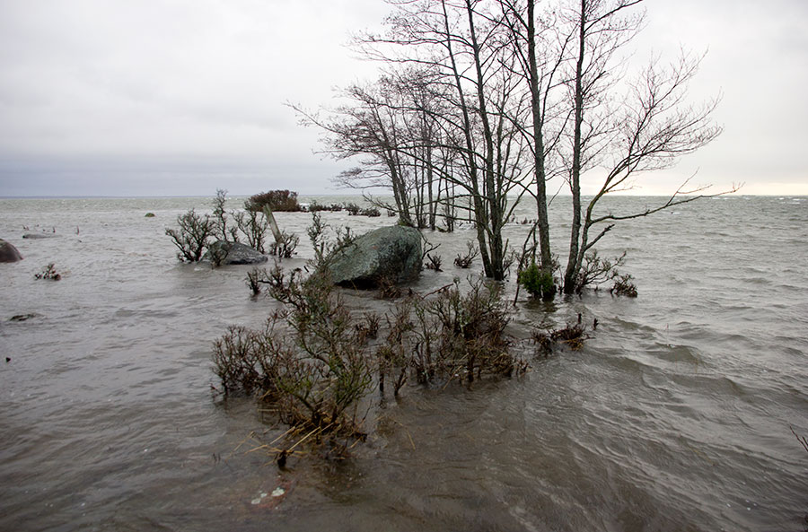 "Etel�ranta"
