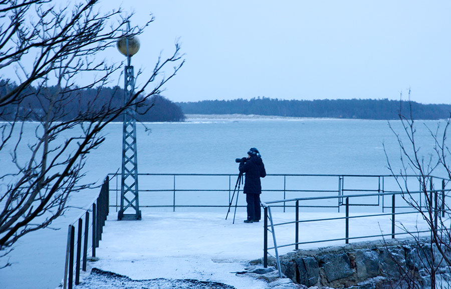 Uniluoto, Palomöljä Uniluoto, Palomöljä