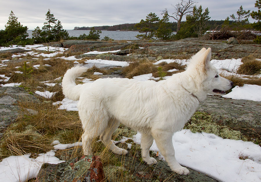 Pinkki, Degersand, "stugbyn" Pinkki, Degersand, "stugbyn"