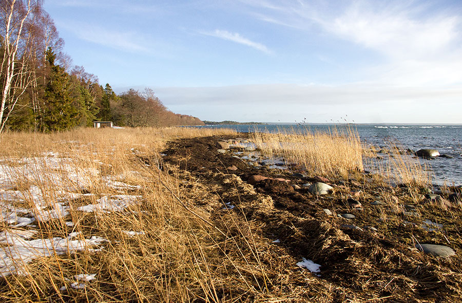 Långnappan Långnappan