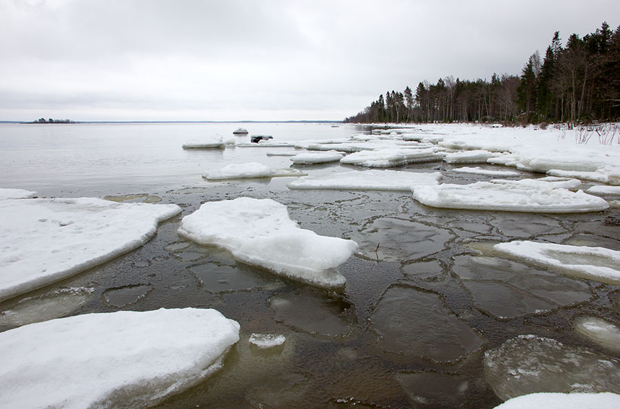 Vähäniemi, idän suuntaan Vähäniemi, idän suuntaan