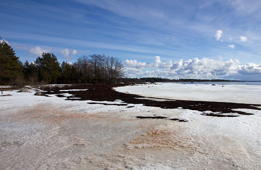 Etelärannan haurutkenttä Etelärannan haurutkenttä