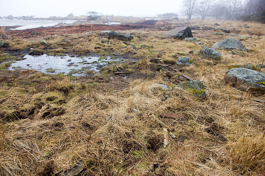 Pelastusveneen rippeet, Lohiloukko