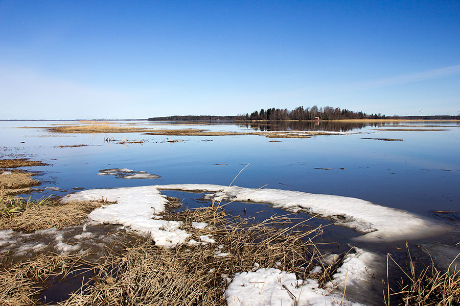 Puussa W, Isojuovan ja Pihlavanlahden yhtymäkohta Puussa W, Isojuovan ja Pihlavanlahden yhtymäkohta