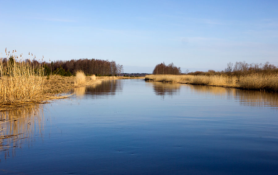 Ylempi Laiskanr�nni