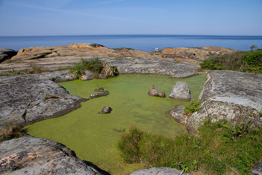 Munakarin kalliot ja limaska Munakarin kalliot ja limaska