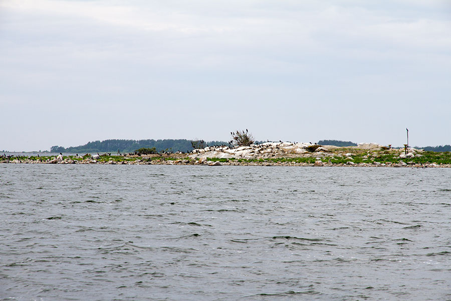 Siipyyn pesäluoto Siipyyn pesäluoto