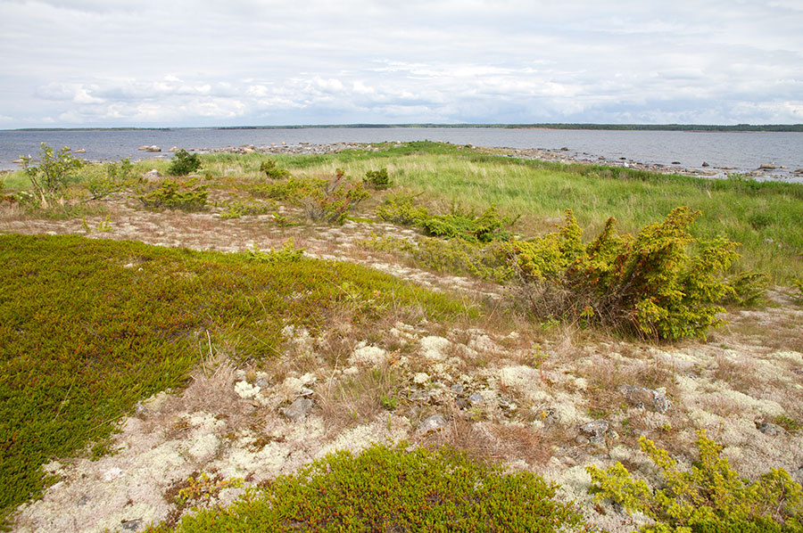 Domarkobban, pohjoiskärki Domarkobban, pohjoiskärki