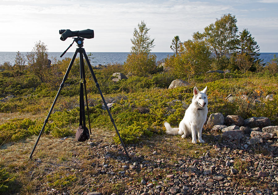 Staijjipaikalla Staijjipaikalla