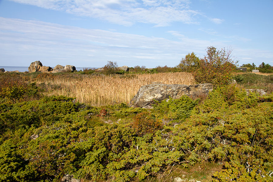 Steenkumppoosin keskiosat Steenkumppoosin keskiosat