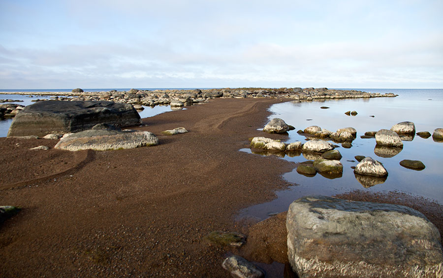 HIekkas�rkk� irtoluodolle