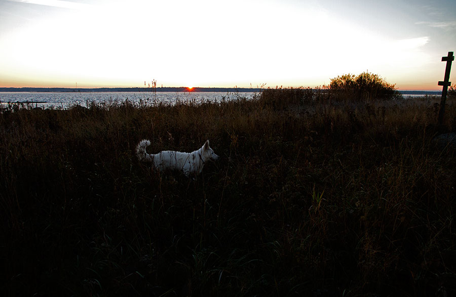 Pinkki ja auringonnousu
