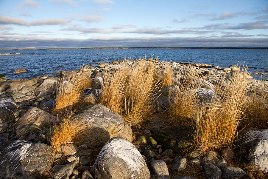 Storbådan pohjoiskärki Storbådan pohjoiskärki