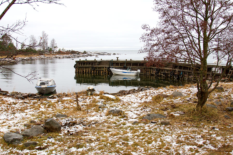 Kruununmöljä Kruununmöljä
