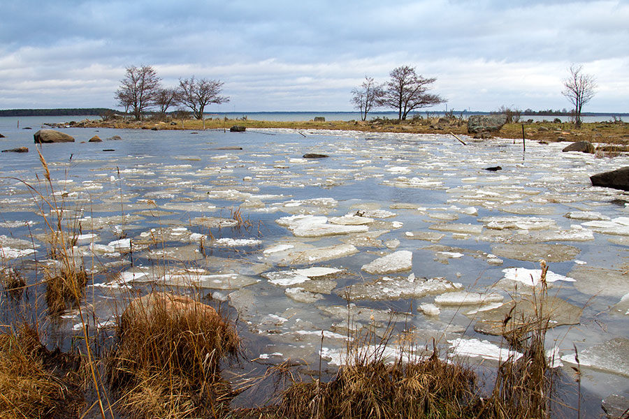 Jäälauttoja, Hevoskari Jäälauttoja, Hevoskari