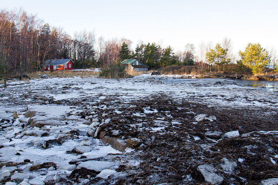 Karinnokka, j��t ja haurut