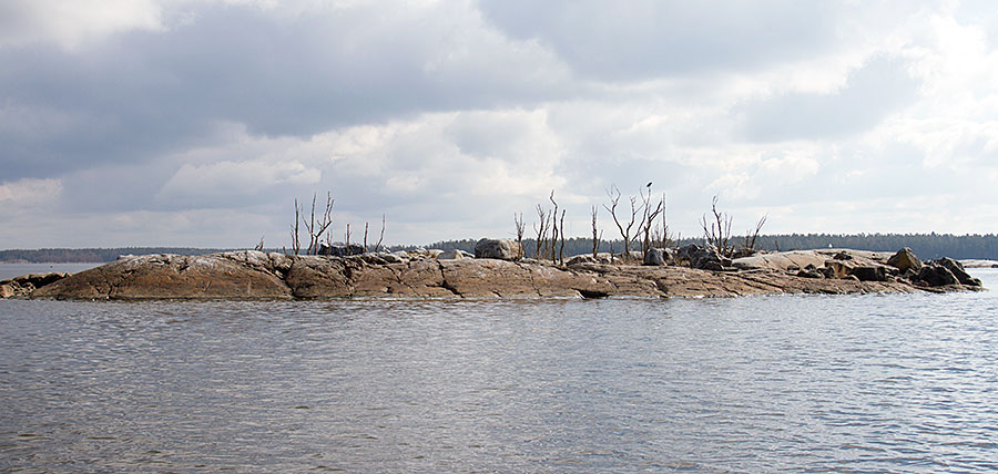 Pesäluoto J ja merikotka Pesäluoto J ja merikotka