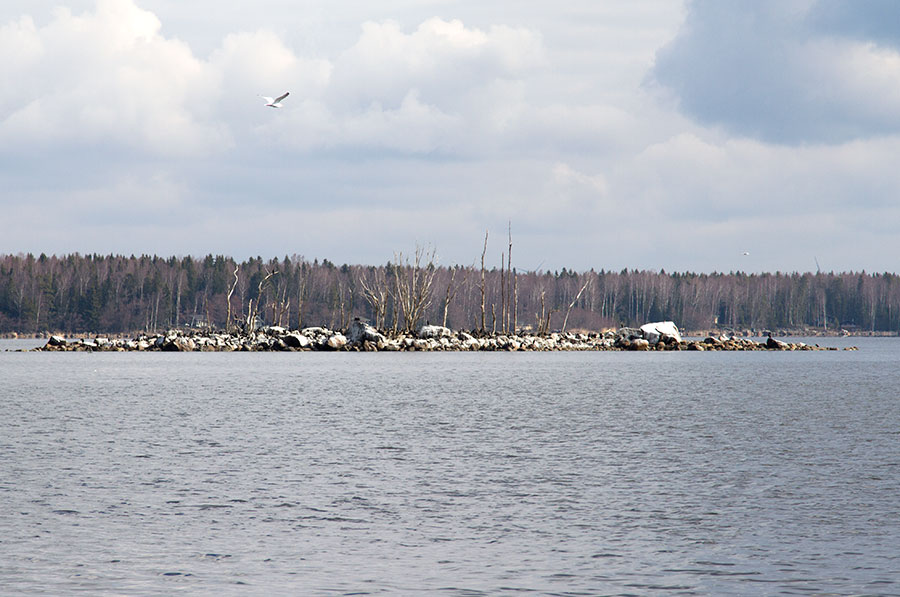 Pesäluoto N Pesäluoto N