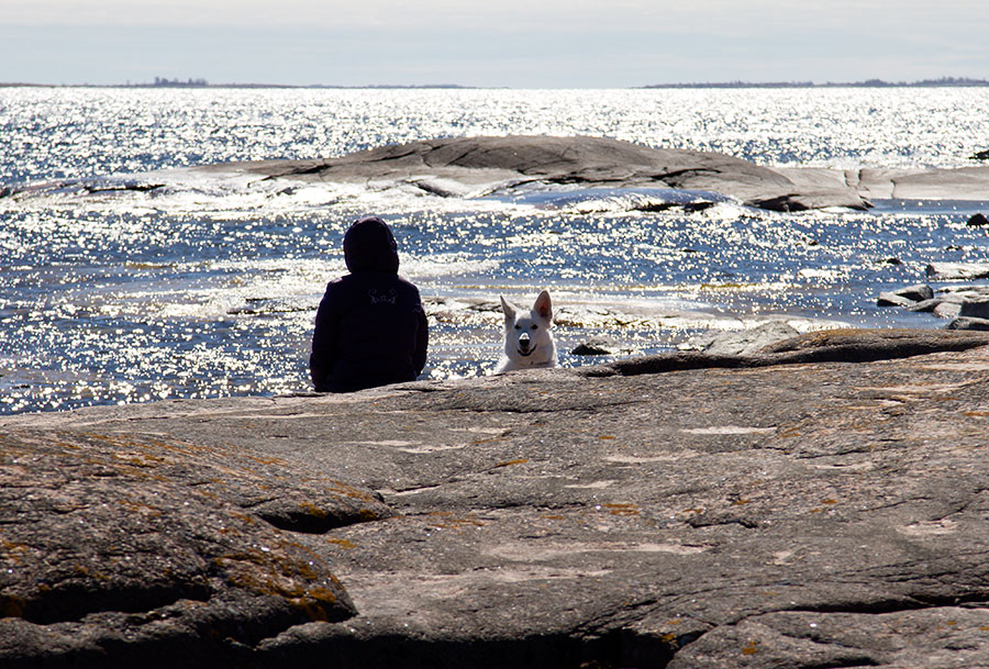 Liisa ja Pinkki, S�lsk�r