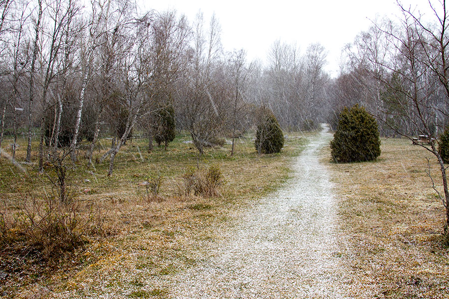 R�nt�sadetta, Herr�skatan