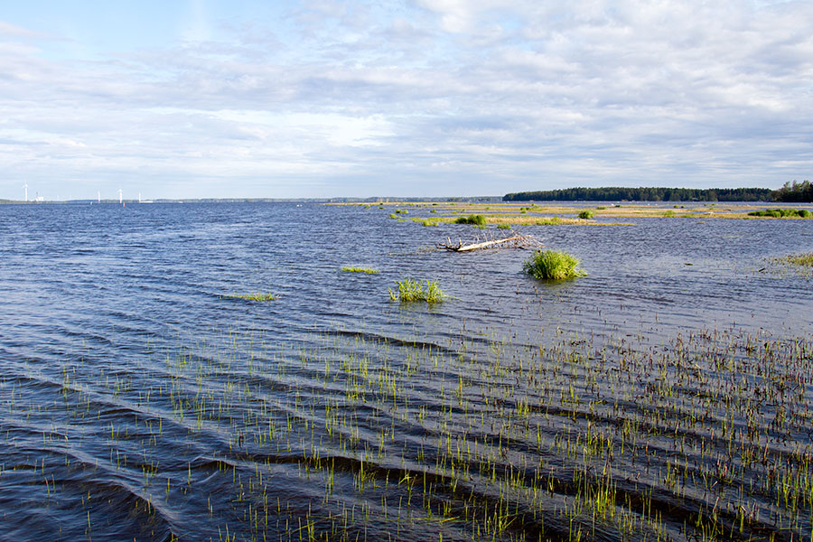 Pihlavanlahti ja Isojuovan reuna