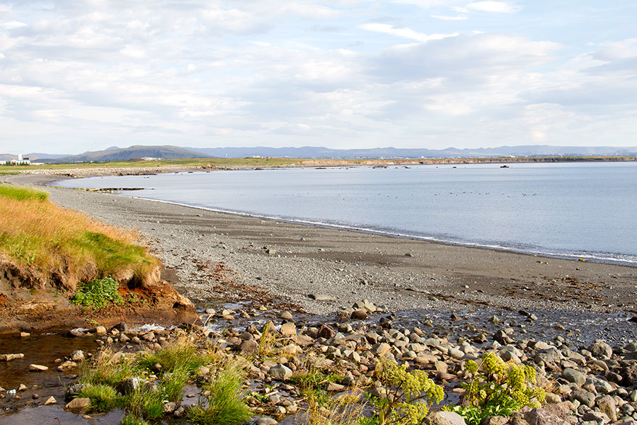 Lahdenpohjukka ja Reykjavik