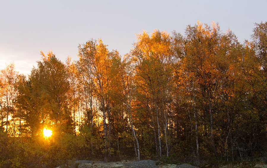 Aurinko nousemassa