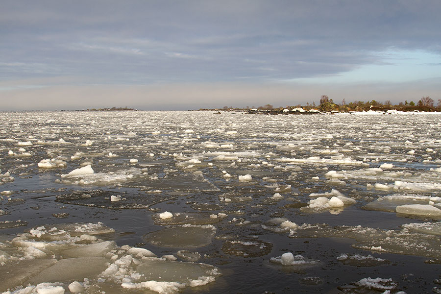 Steenkumppoosi, l�nsipuoli
