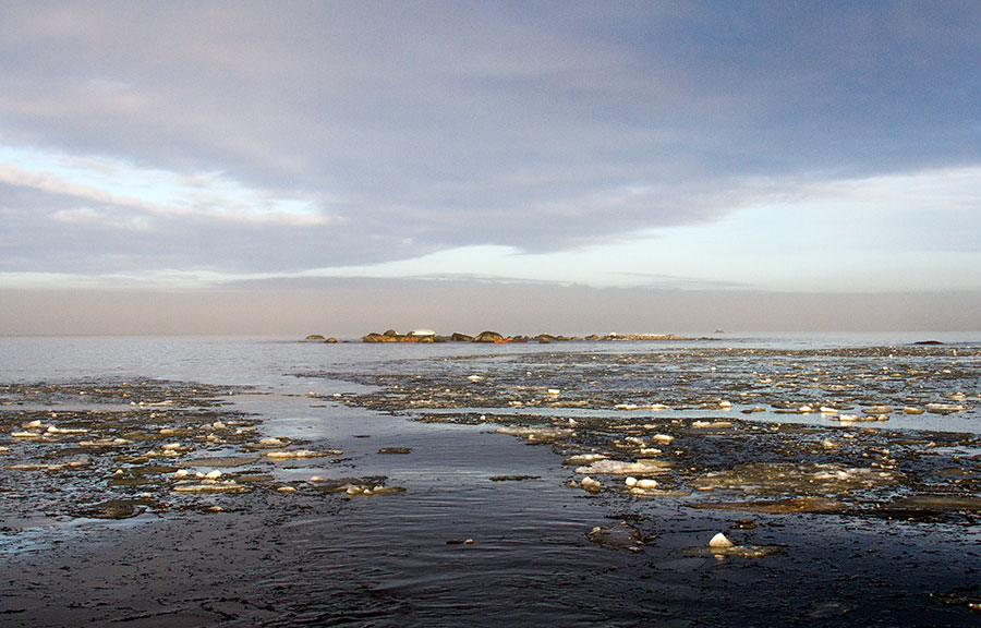 Vensteeni nimet�n