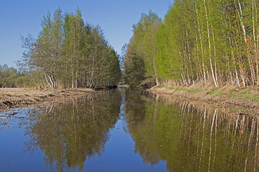 Kahaluodon uoma