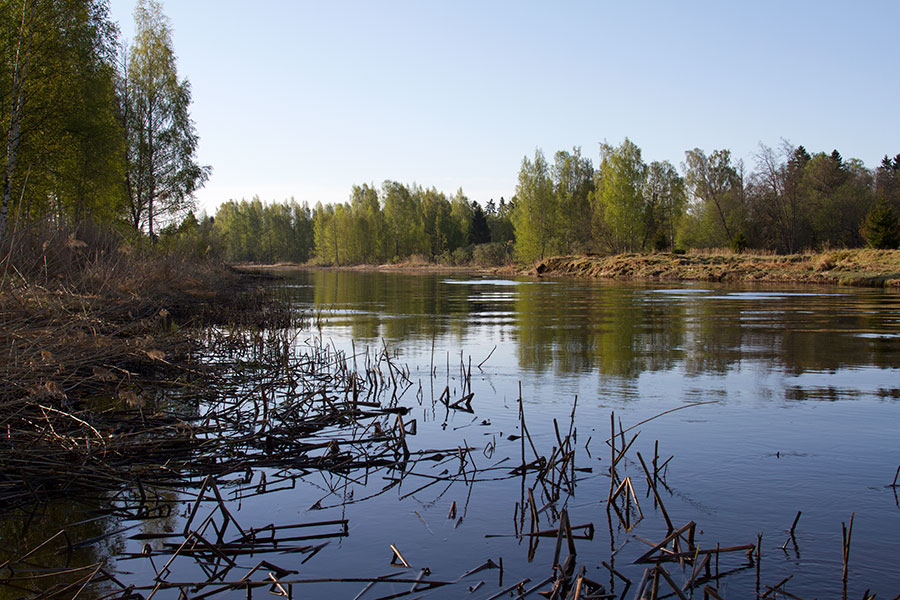 Ylempi laiskanr�nni