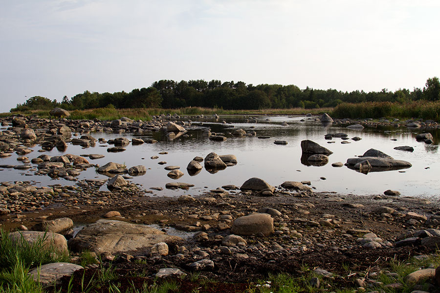 Flada iltavalossa