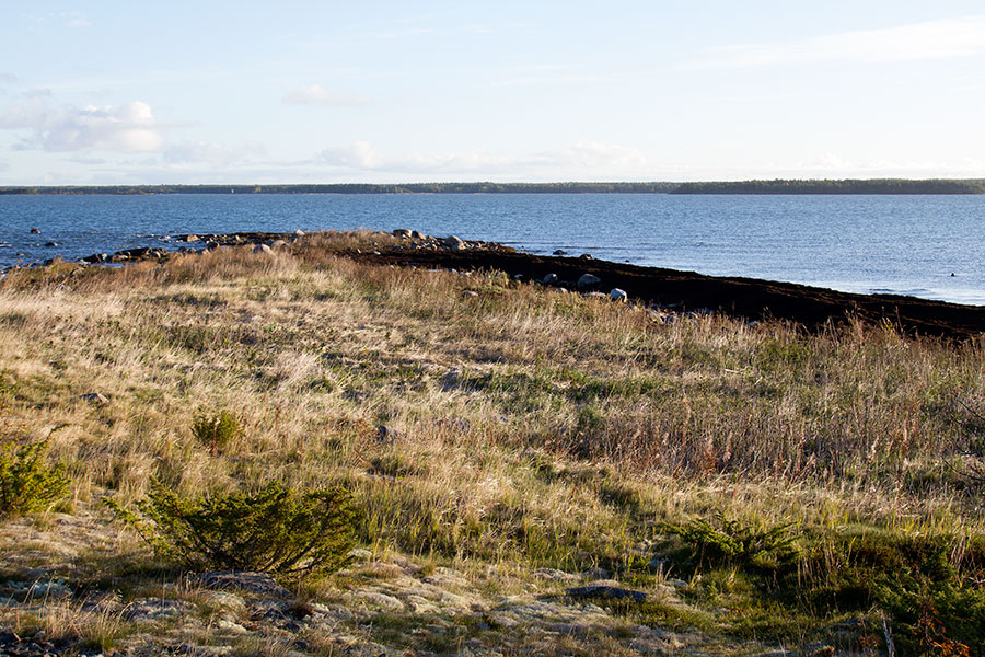 Pohjoiskärki Pohjoiskärki