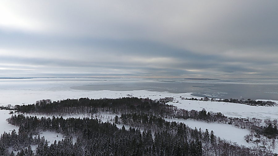 Viasvedenlahti
